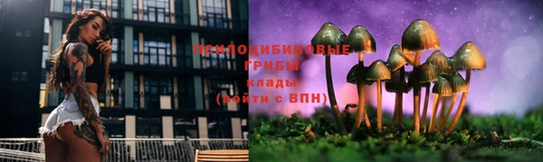 прущие крисы Покровск