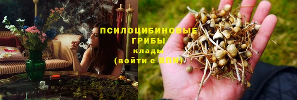 прущие крисы Покровск