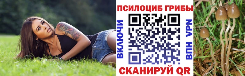 гидра зеркало  мориарти какой сайт  Галлюциногенные грибы мухоморы  цена наркотик  Светлогорск 