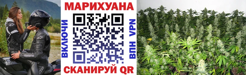 Каннабис индика  Светлогорск 